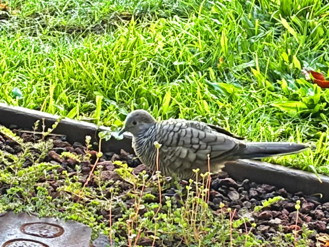 Photo of the Day: Morning Mama